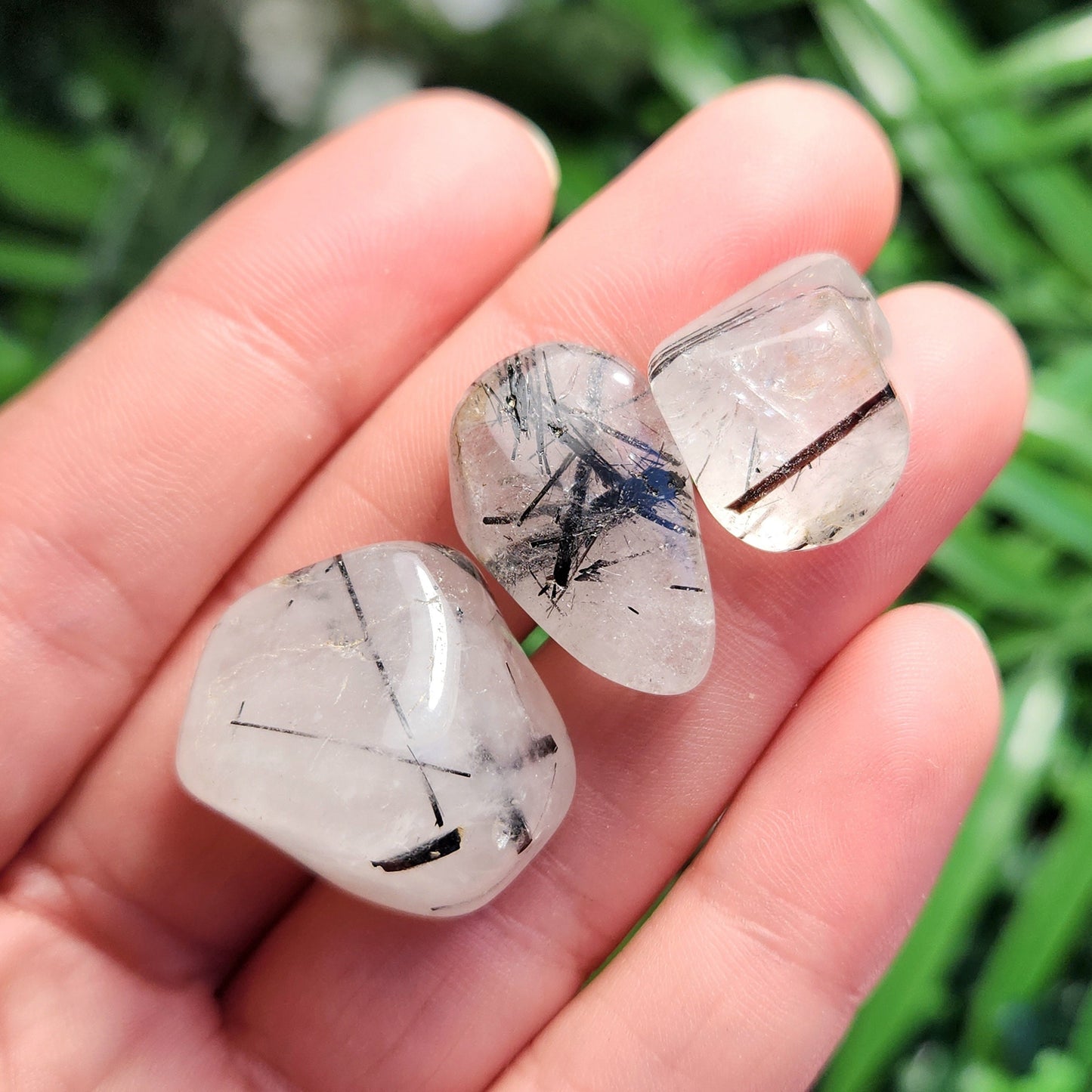 Black Tourmaline in Quartz