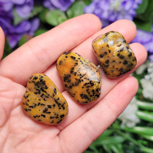 Cheetah Agate Stone