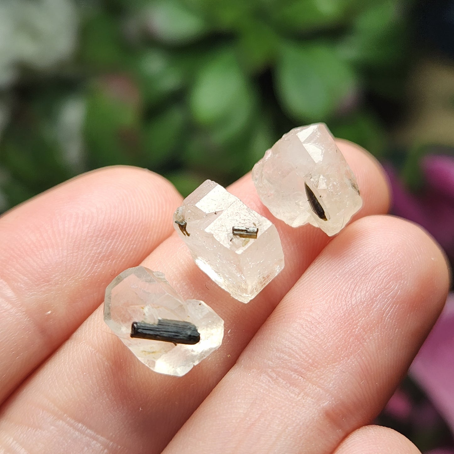 White Topaz & Black Tourmaline