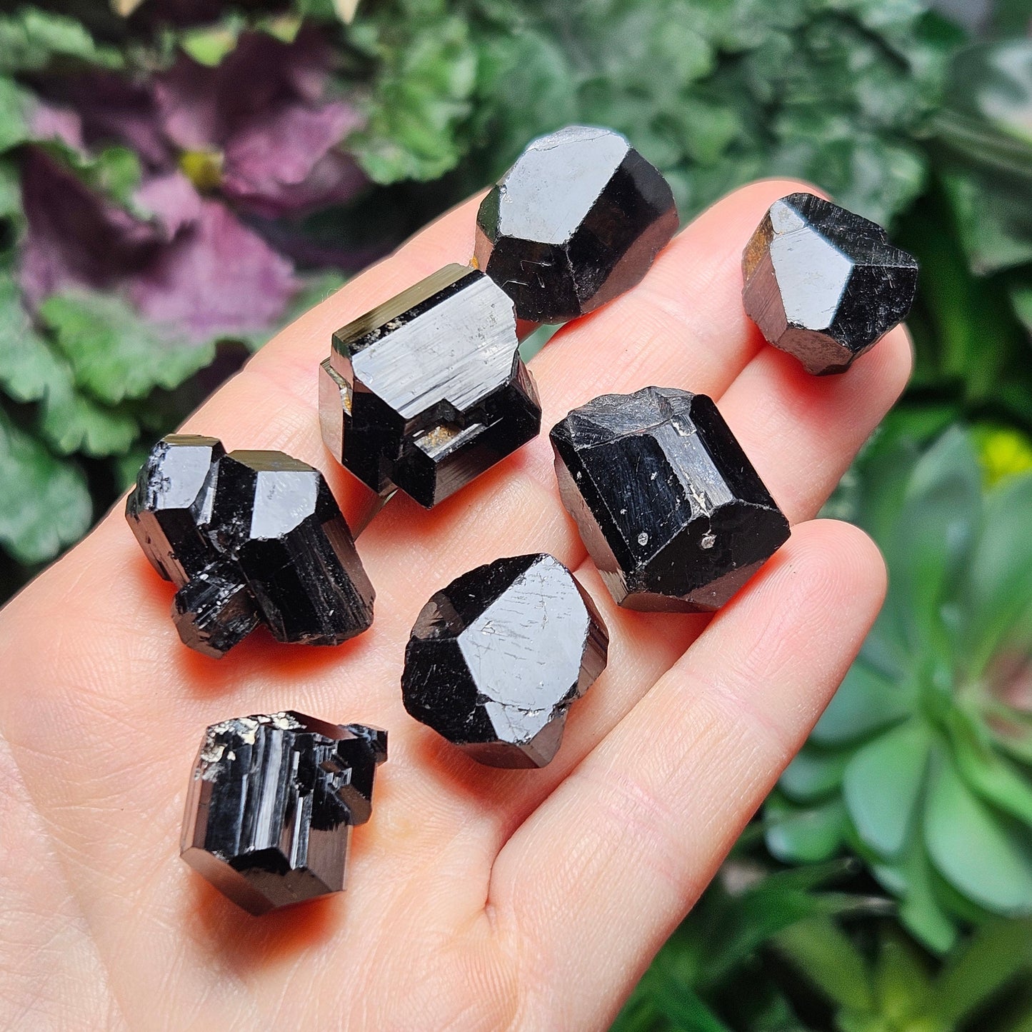 Terminated Black Tourmaline