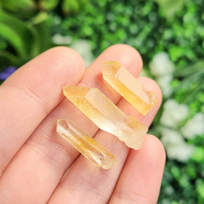 Golden Healer Quartz
