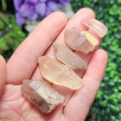 Lithium Quartz Phantom