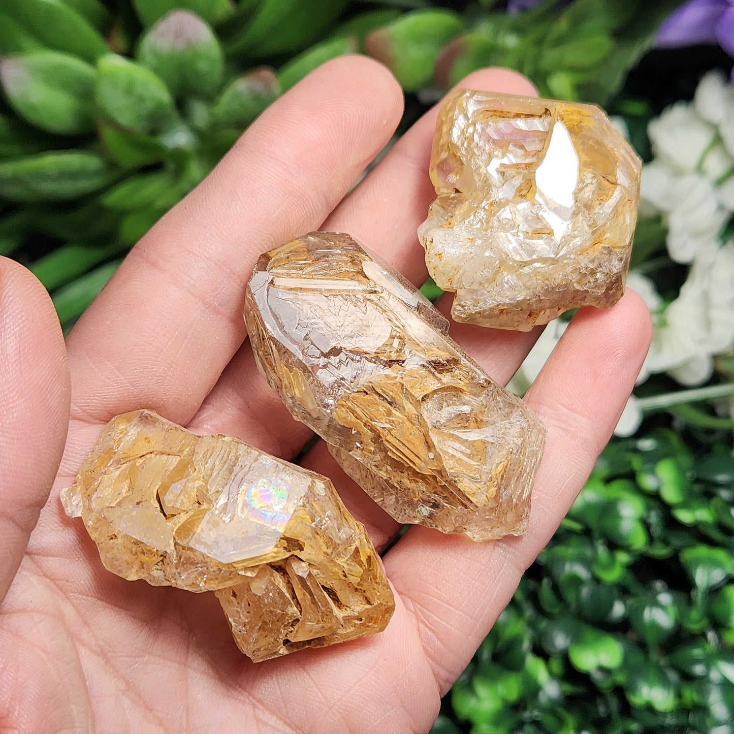 Window Quartz
