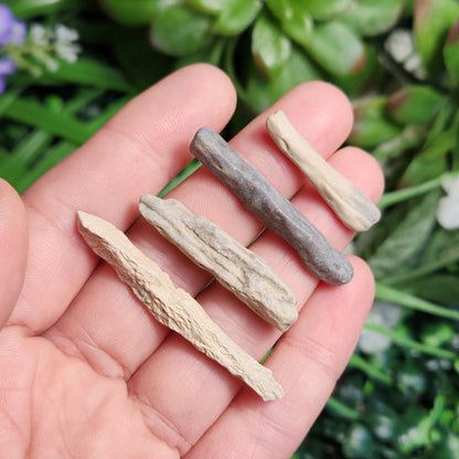 Bamboo Agate Stalactite
