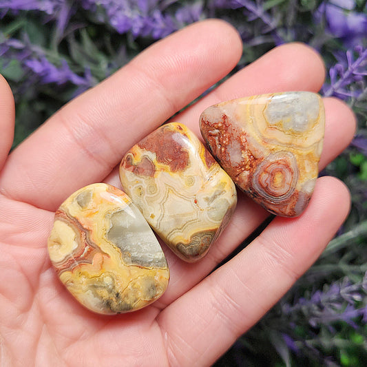 Crazy Lace Agate Crystal