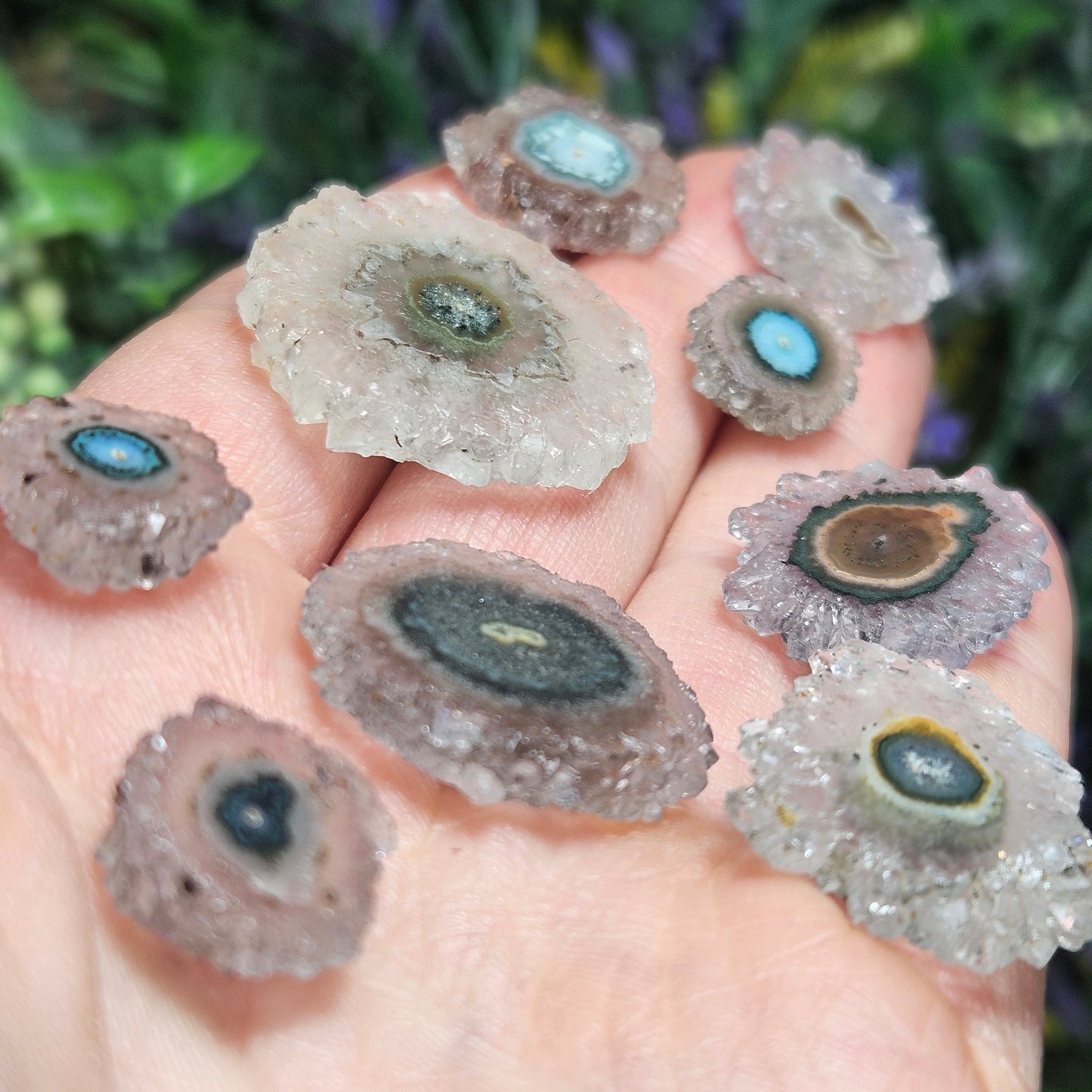 Quartz Stalactite:  Stalactite Slice Crystal