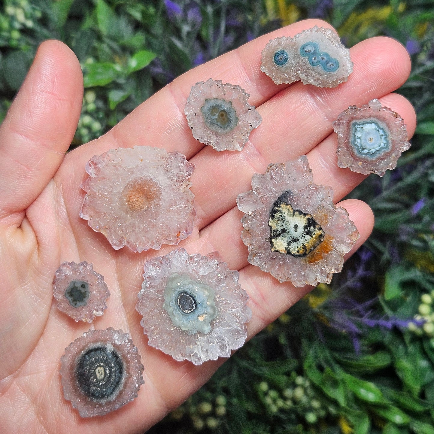Quartz Stalactite:  Stalactite Slice Crystal