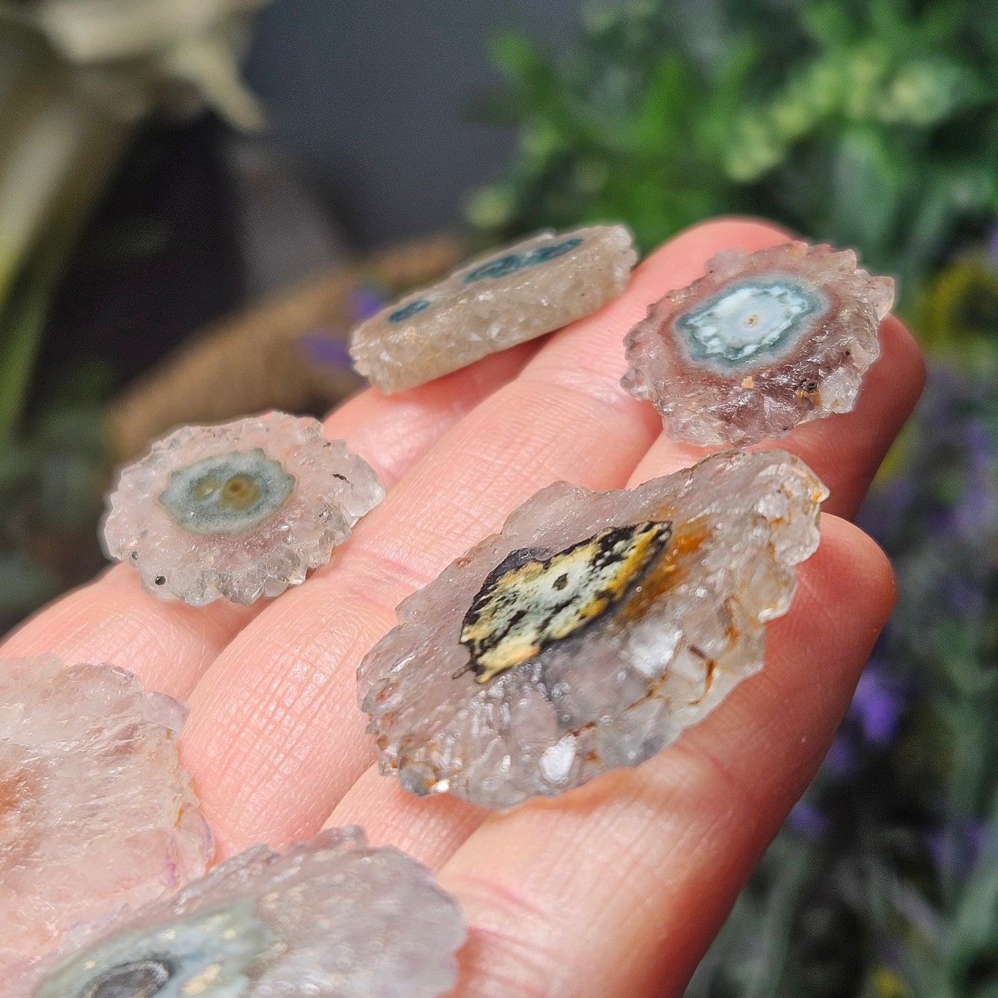 Quartz Stalactite:  Stalactite Slice Crystal