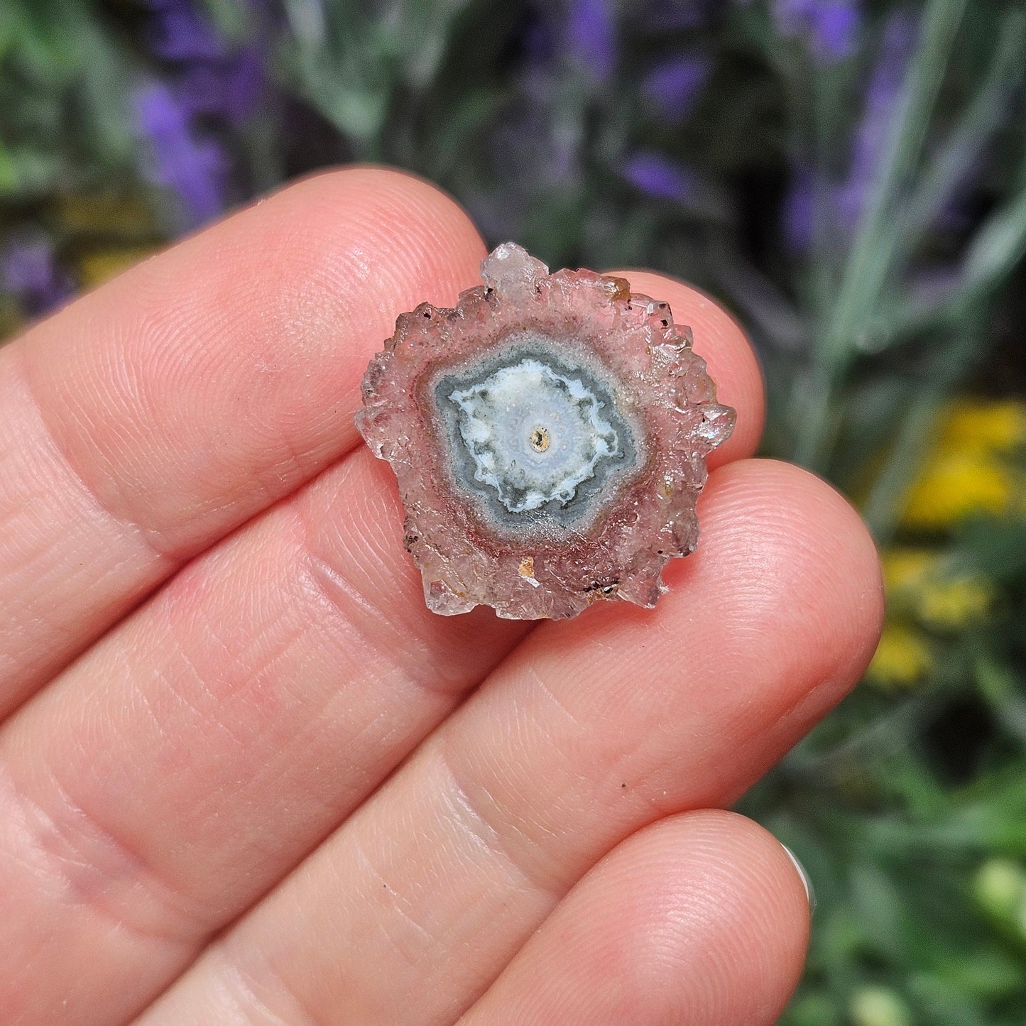 Quartz Stalactite:  Stalactite Slice Crystal