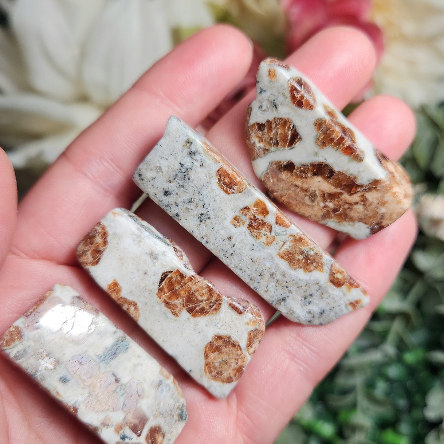 Garnet in Wollastonite