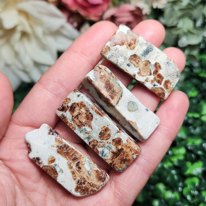 Garnet in Wollastonite