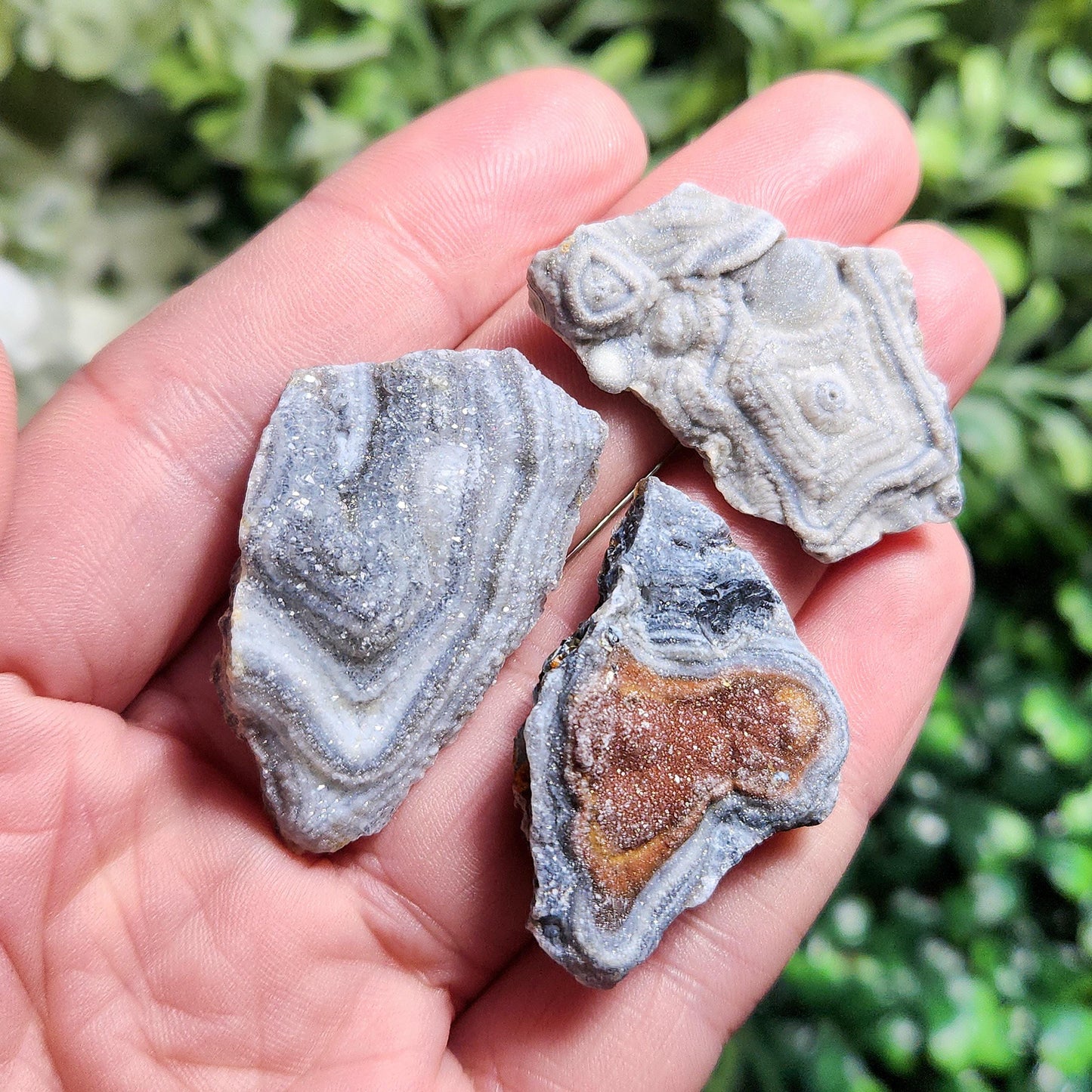 Zeusite Rose Specimen