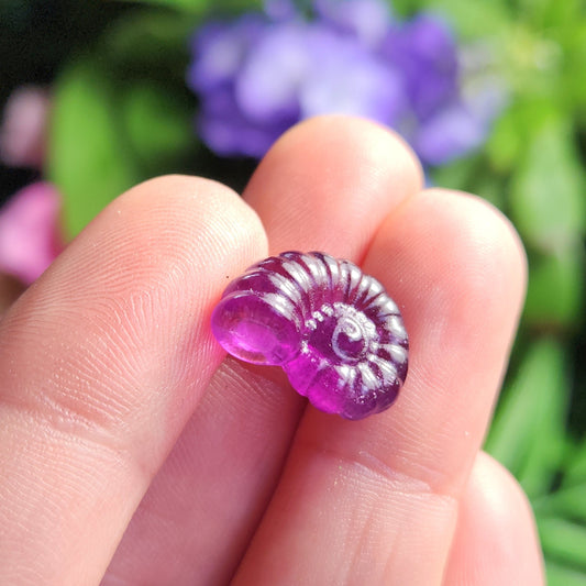 Rainbow Fluorite Spiral Seashell