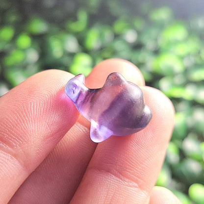 Rainbow Fluorite Dolphin