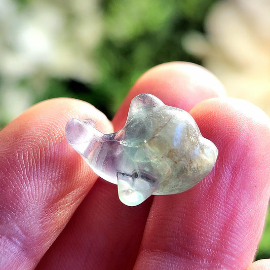Rainbow Fluorite Dolphin