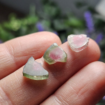 Watermelon Tourmaline Slice
