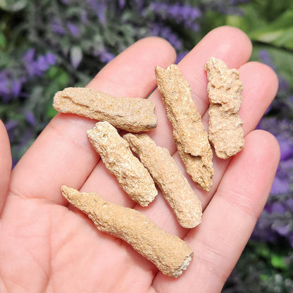 RARE Lightning Fused FULGURITE