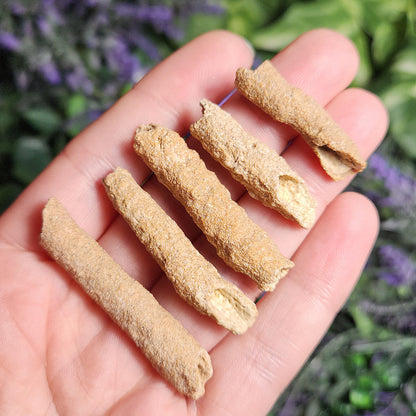 RARE Lightning Fused FULGURITE