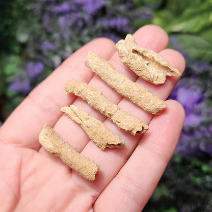 RARE Lightning Fused FULGURITE