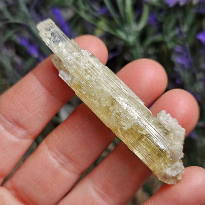 Heliodor Crystal 14.4g, Raw Golden BerylSpecimen