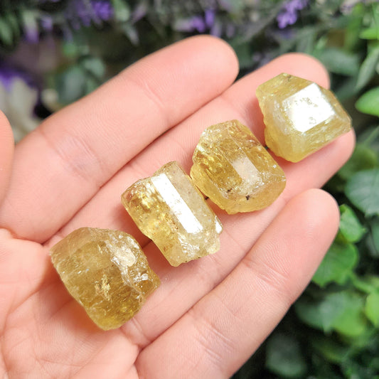 XL Apatite Crystal
