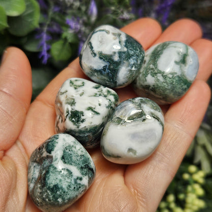 Moss Agate Crystal
