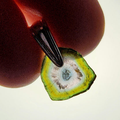 Watermelon Tourmaline Slice Pendant