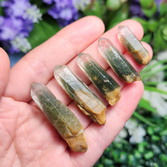 Green Amphibole Phantom Quartz