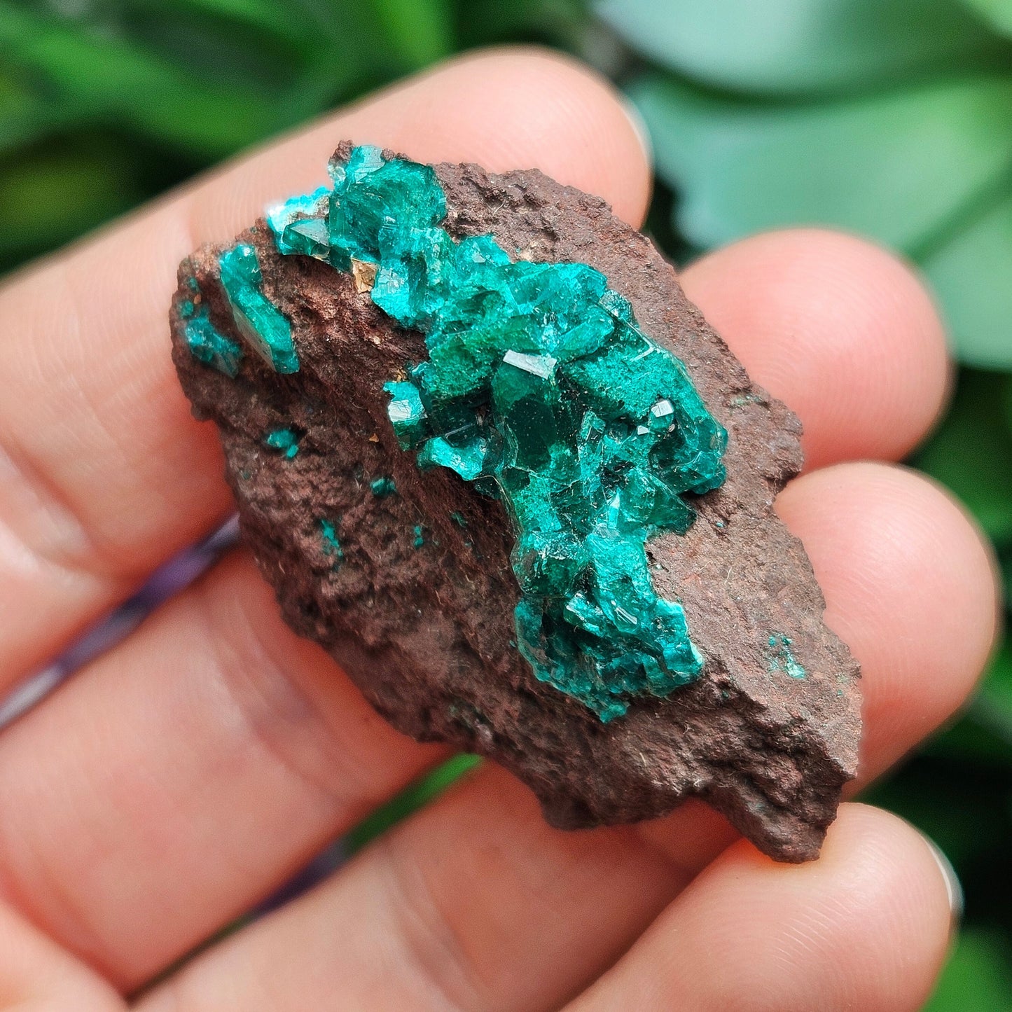 Dioptase Crystal Specimen 15.48g, Raw Congo Dioptase Stone