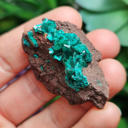 Dioptase Crystal Specimen 15.48g, Raw Congo Dioptase Stone