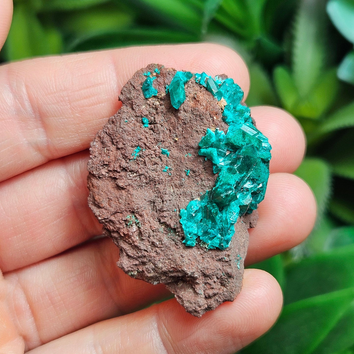 Dioptase Crystal Specimen 15.48g, Raw Congo Dioptase Stone