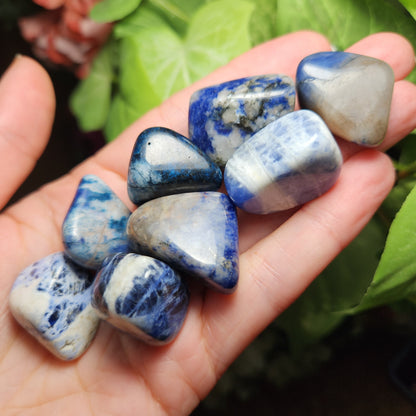 Blue Sodalite Crystal (.75