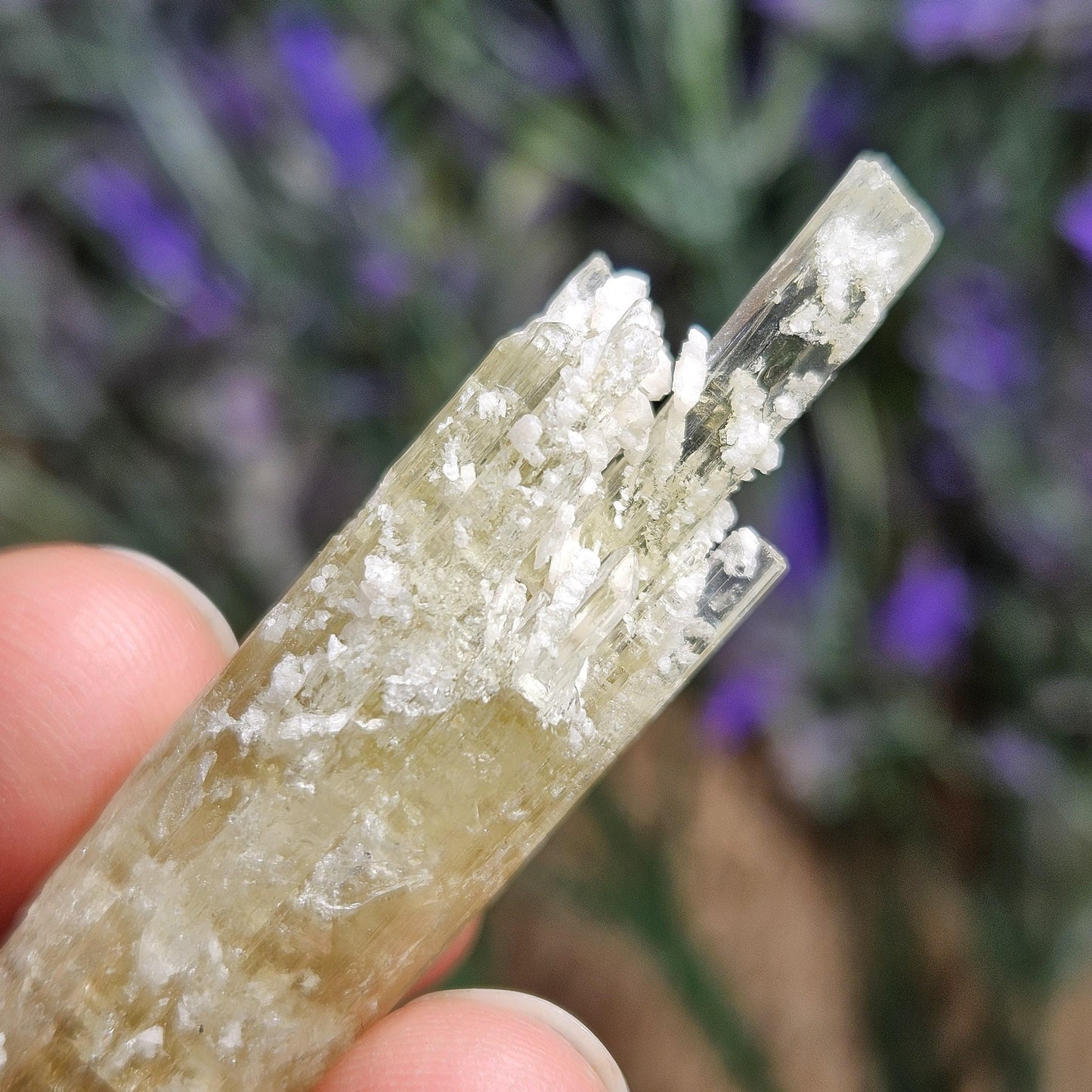 Heliodor Crystal 14.4g, Raw Golden BerylSpecimen