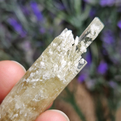 Heliodor Crystal 14.4g, Raw Golden BerylSpecimen