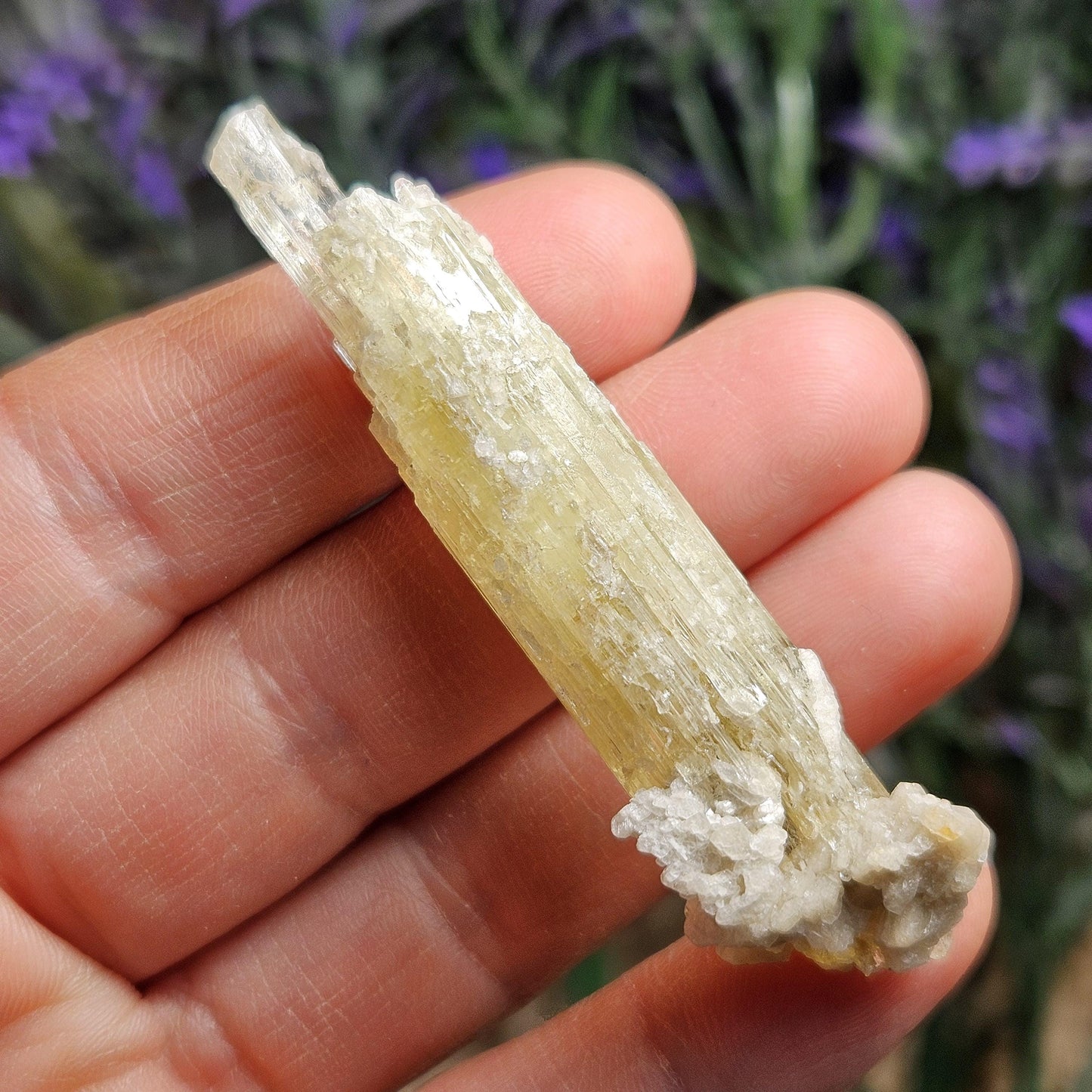 Heliodor Crystal 14.4g, Raw Golden BerylSpecimen