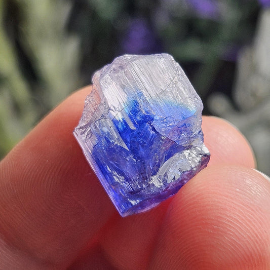 INDIGO Bicolored Tanzanite Crystal