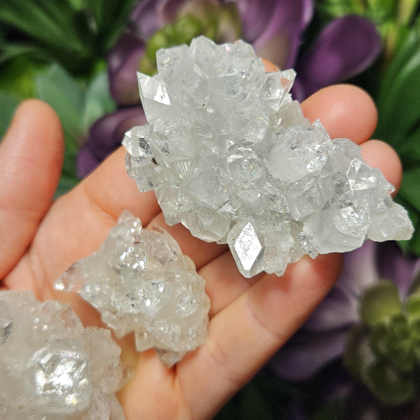 Apophyllite Cluster