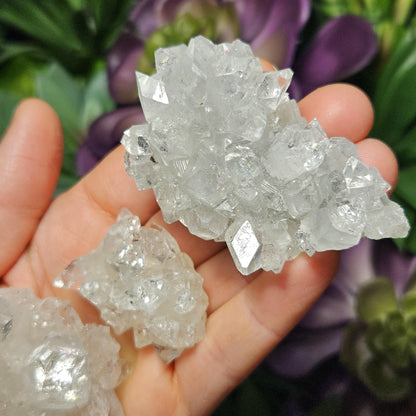 Apophyllite Cluster