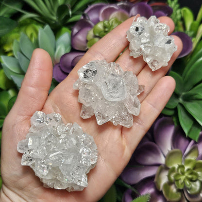 Apophyllite Cluster