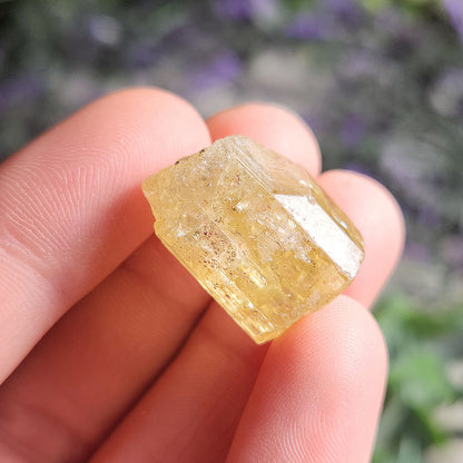 XL Apatite Crystal