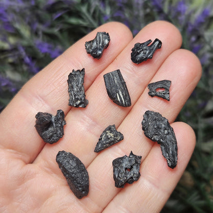 Irgizite Meteorite Specimen