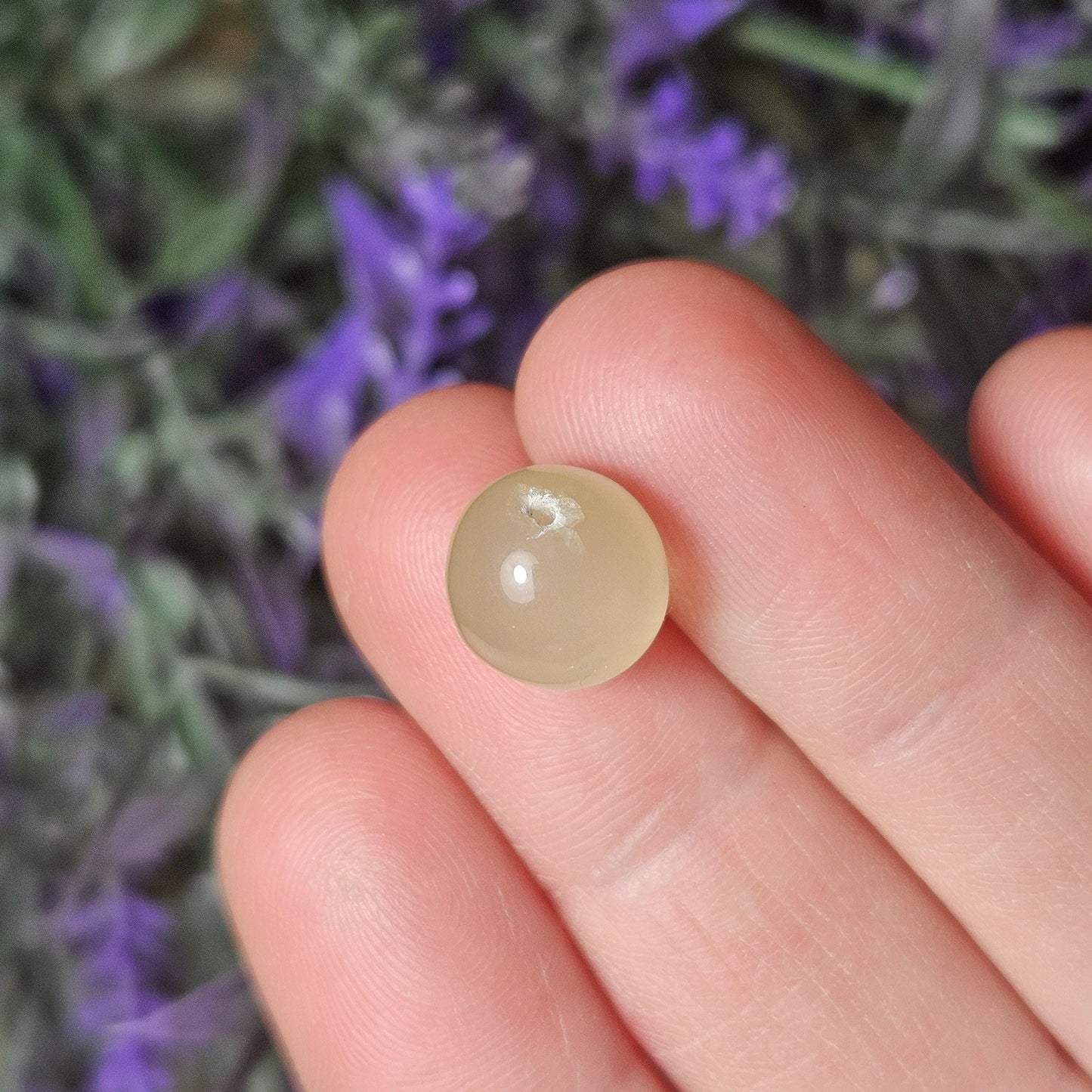 Libyan Desert Glass Beads