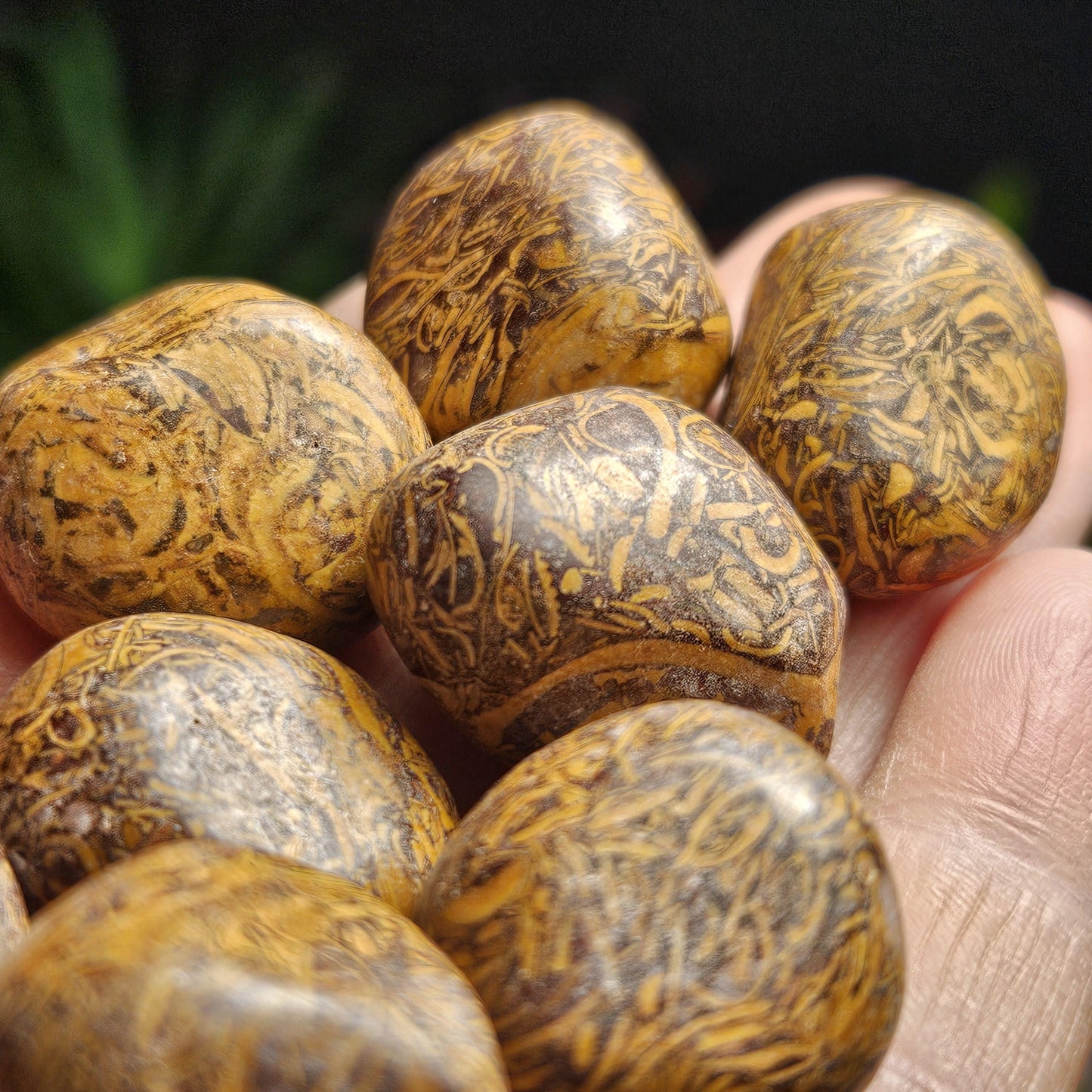 Calligraphy Stone