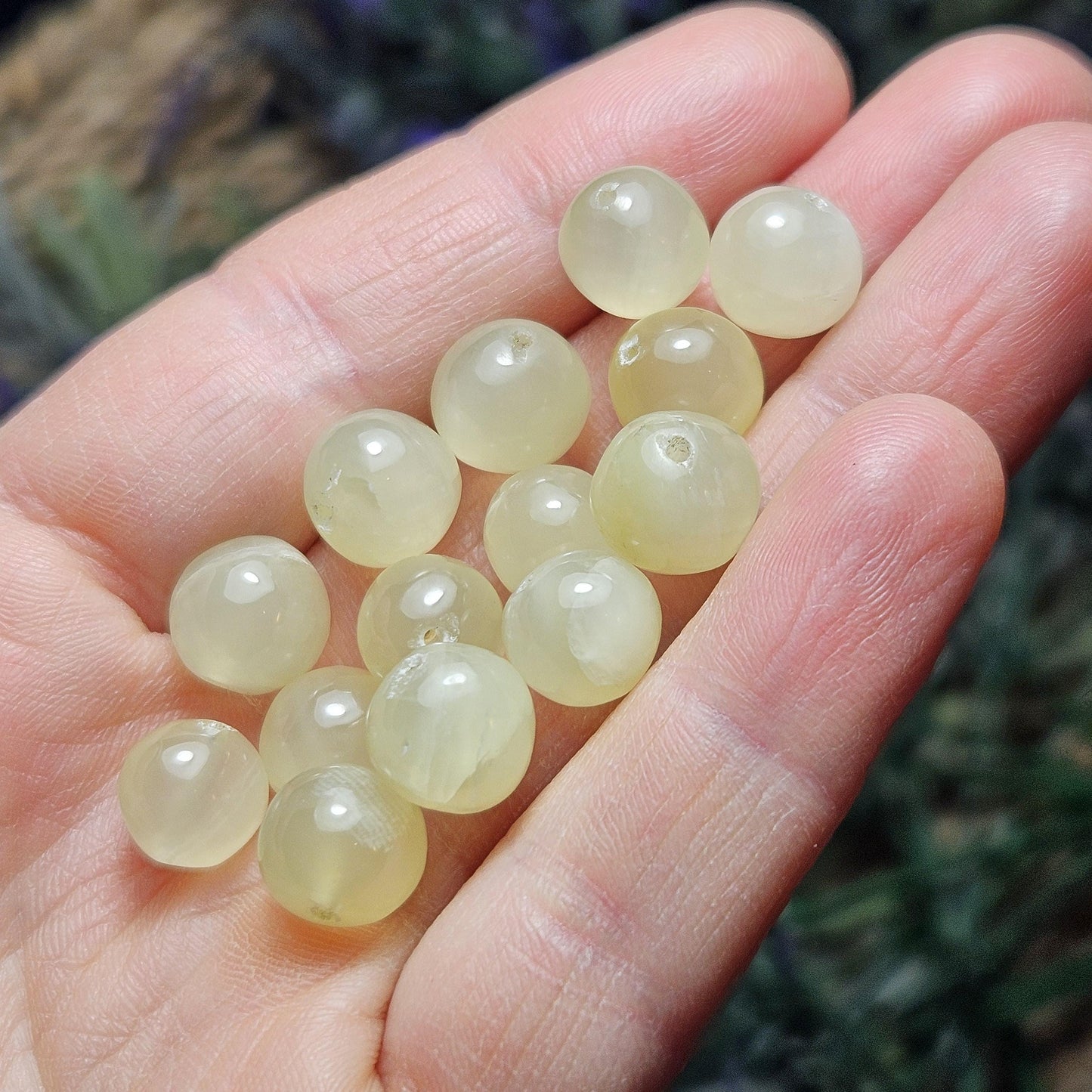 Libyan Desert Glass Beads
