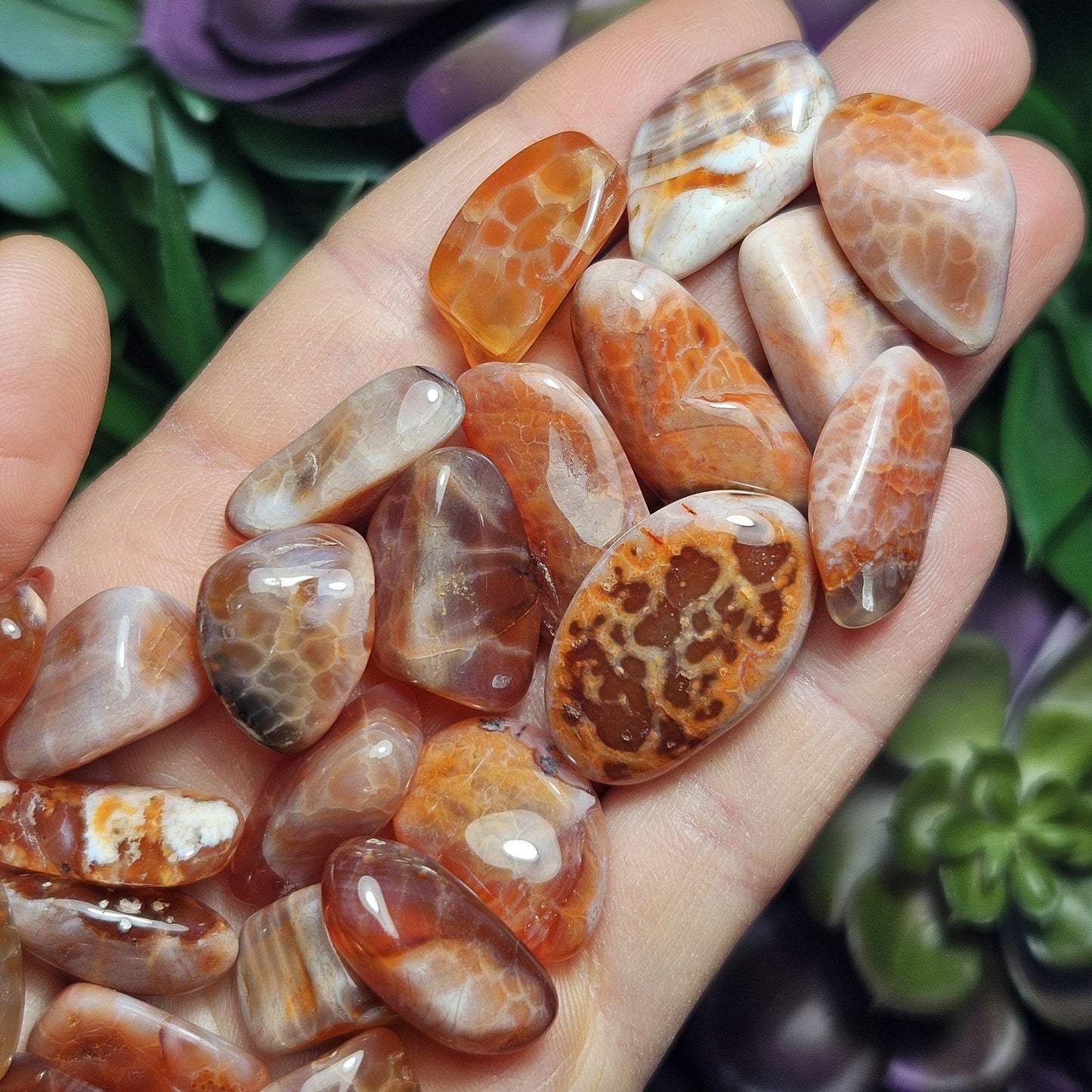 Snakeskin Agate