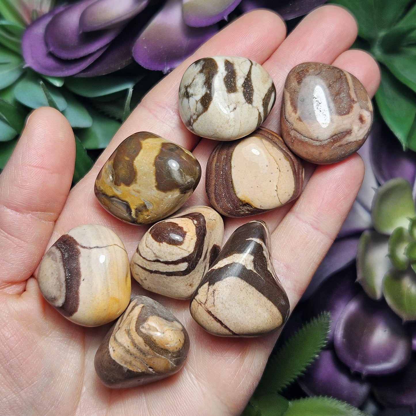 Red Zebra Jasper