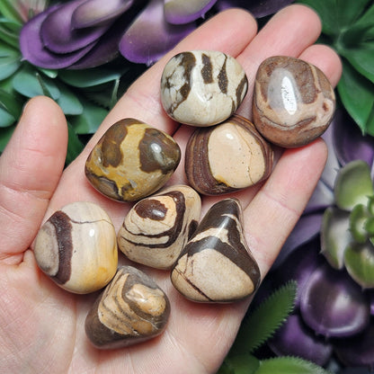 Red Zebra Jasper