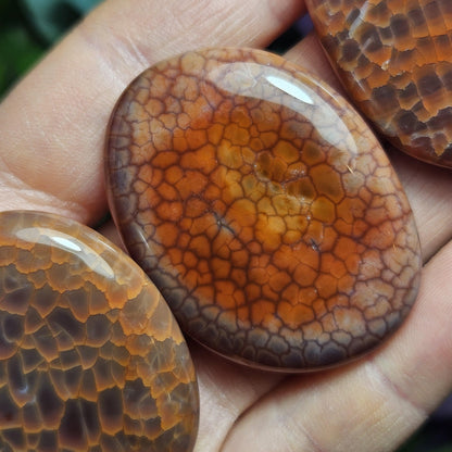 Snakeskin Agate