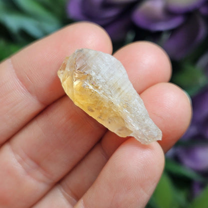 Citrine Crystal Point, Brazilian Citrine Specimen