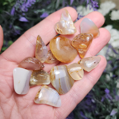 Golden Montana Agate
